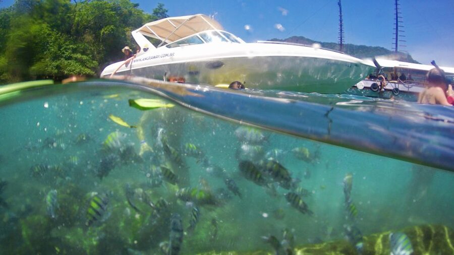 Angra dos Reis: Super Lagoa Azul Speedboat Tour - What $52 buys you