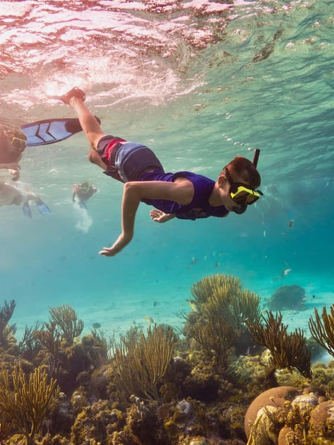 Ao Nang: 4 Islands Day Tour by Speedboat or Longtail Boat - Poda Island: lunch and the longest beach stop