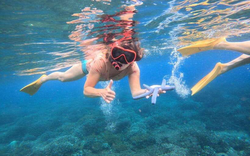 Bali: Nusa Penida: Snorkeling, West trip, lunch & speed boat - Key points to know before booking