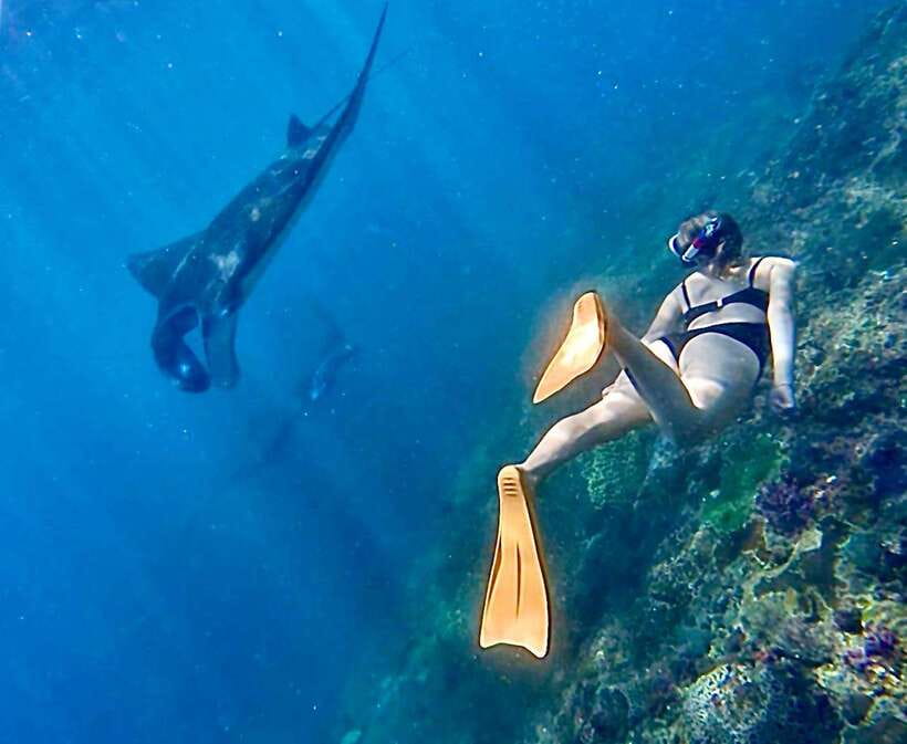 Bali: Nusa Penida: Snorkeling, West trip, lunch & speed boat - Why this Nusa Penida day works