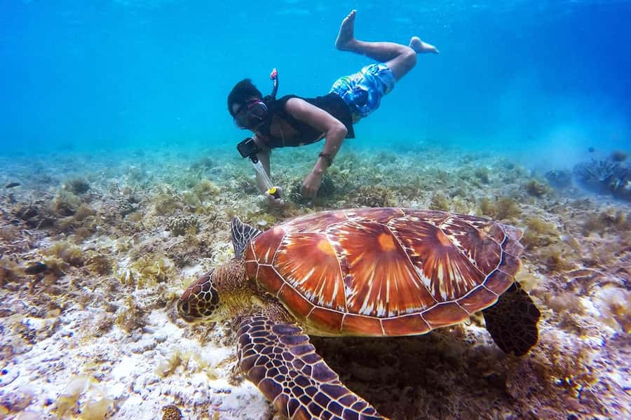 Bali: Nusa Penida Speedboat Trip with Snorkeling and Tour - From Serangan Harbor to Nusa Penida