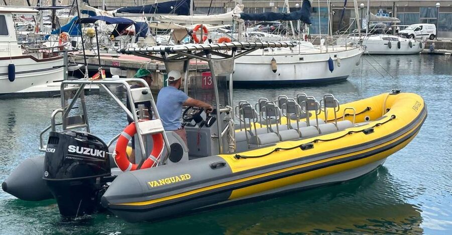 Barcelona: Fast Skyline Cruise - A gentle start through the Olympic harbor