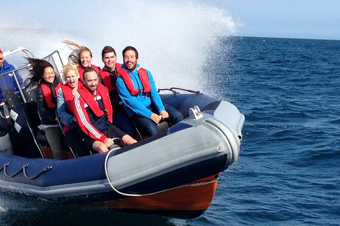 Barcelona Speedboat Coastline Tour - Key points at a glance