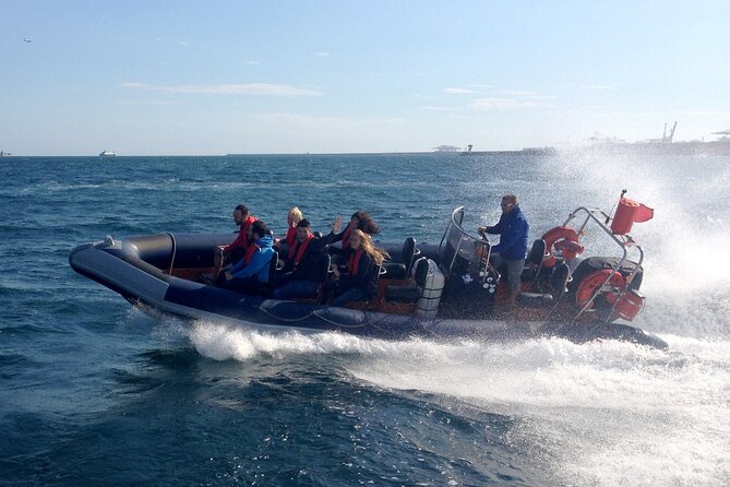 Barcelona Speedboat Coastline Tour - A friendly, low-fuss setup