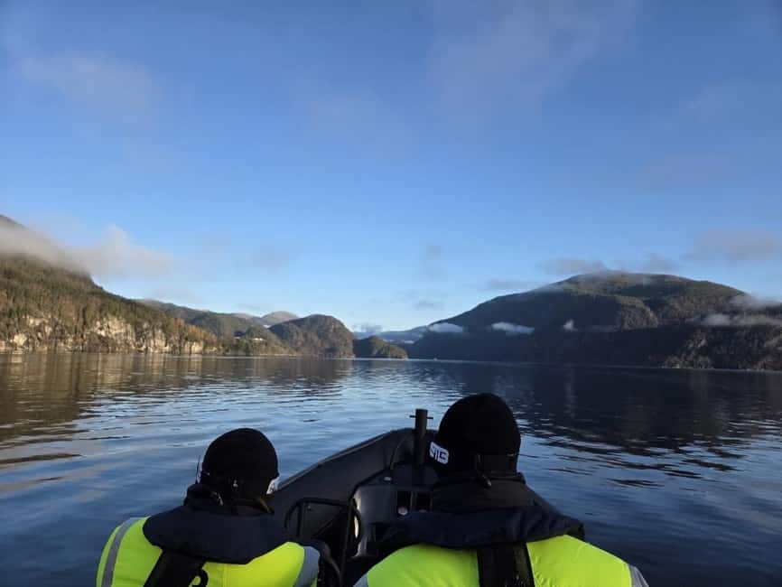 Bergen: Mostraumen Fjord Safari - by Premium RIB Boat - Is $166 a fair price?