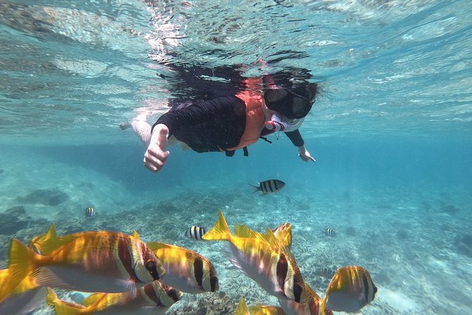 Beyond Angthong 42 Islands Premium Service Trip By Speedboat From Koh Samui - Key points at a glance