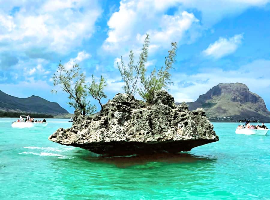 Black River: Swim with Dolphin Speed Boat Tour with lunch - What to bring and what can catch you out