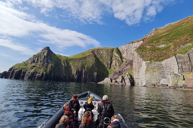 Blasket Island Sea Life Rib Tour, - Dolphins beside the boat