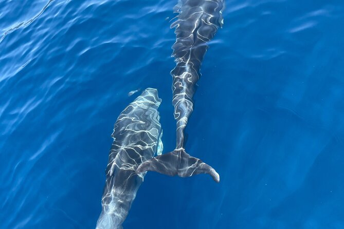 Blue cave tour with a speedboat-small group - Beaches, sunbathing, and island hopping