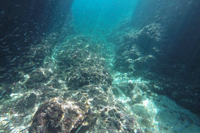 Blue cave tour with a speedboat-small group - Is $84.29 good value?