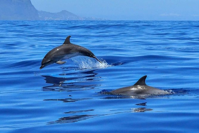 BLUE LAGON & 3 islands full day private speedboat tour - Key points at a glance
