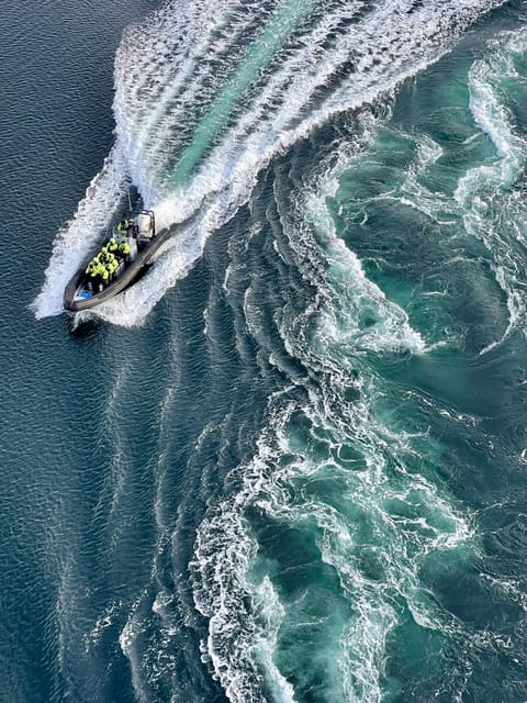 Bodø: Saltstraumen RIB Safari - Why Saltstraumen is worth seeing from a RIB