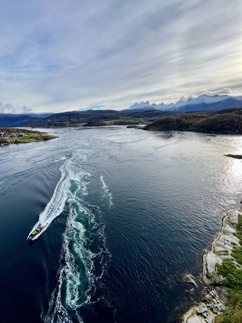 Bodø: Saltstraumen RIB Safari - The RIB ride across Bodø’s coastal waters
