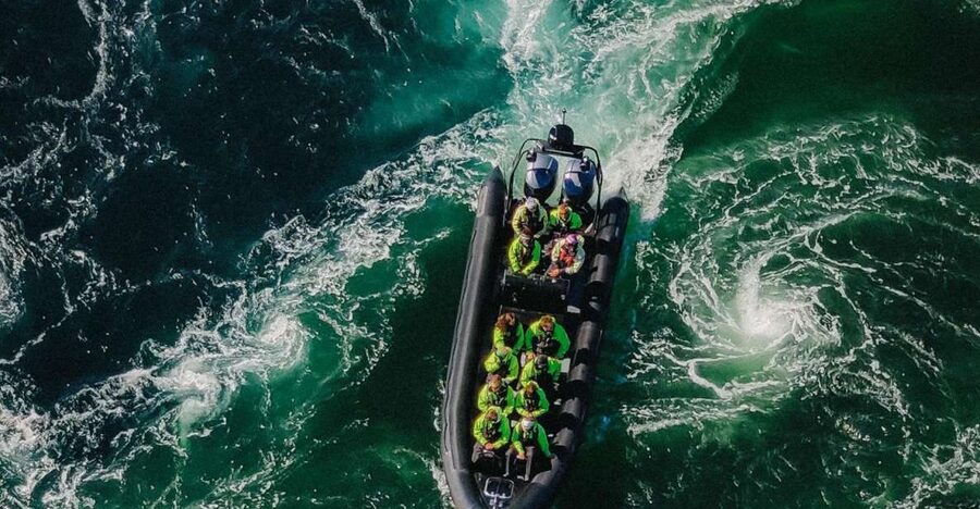 Bodø: Saltstraumen Sea Eagle Trip by RIB - Key points before you book