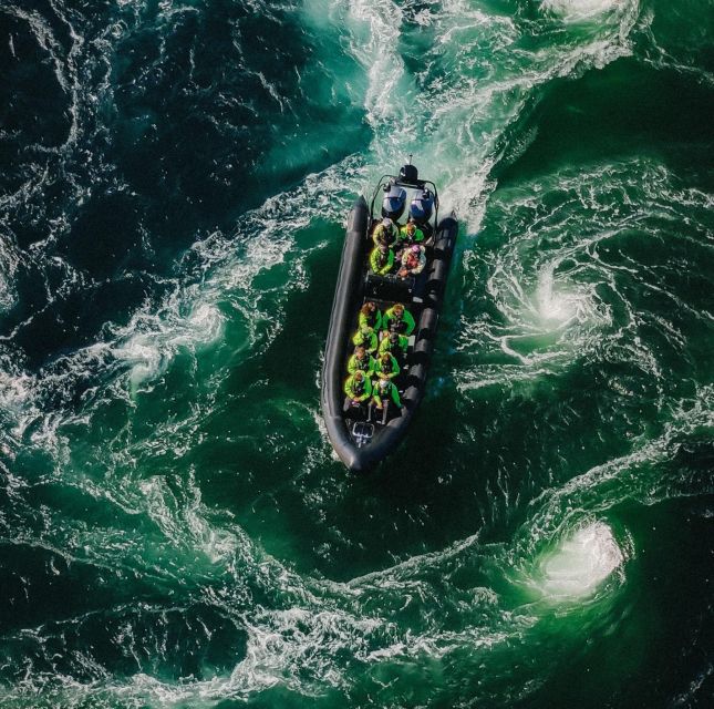 Bodø: Saltstraumen Sea Eagle Trip by RIB - The 15-minute run to Saltstraumen