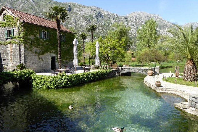 Boka Bay tour by car or speedboat (Private tour) - What $196.46 per person really buys