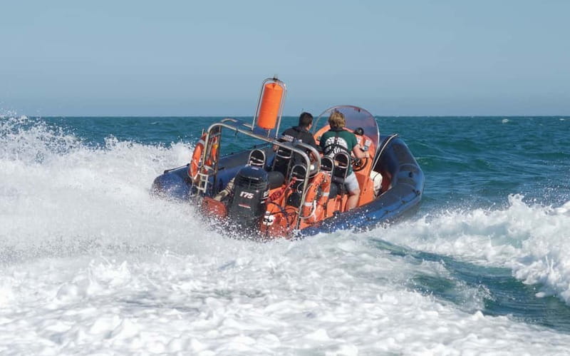 Brighton: Powerboat Ride - Brighton from the sea