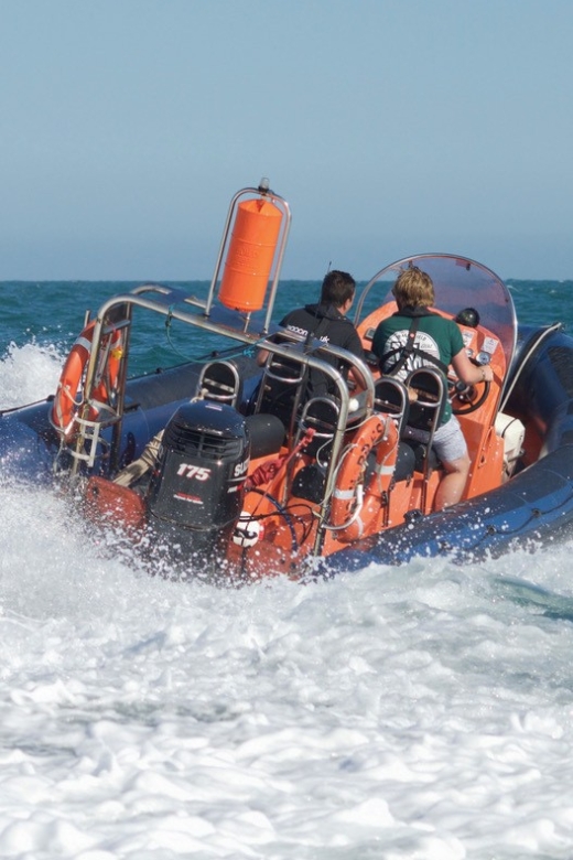 Brighton: Powerboat Ride - Practical ways to enjoy it more