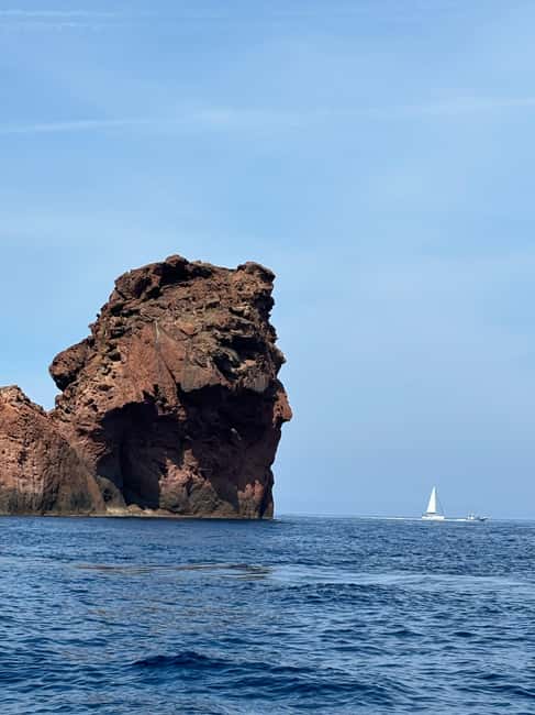 Calvi: Guided speedboat tour to Scandola - What makes Scandola special