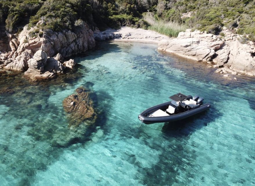 Calvi: Private Speedboat Tour to Wild Beaches with Aperitif - Who will enjoy it most