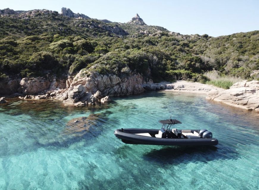 Calvi: Private Speedboat Tour to Wild Beaches with Aperitif - Leaving Calvi beneath the citadel