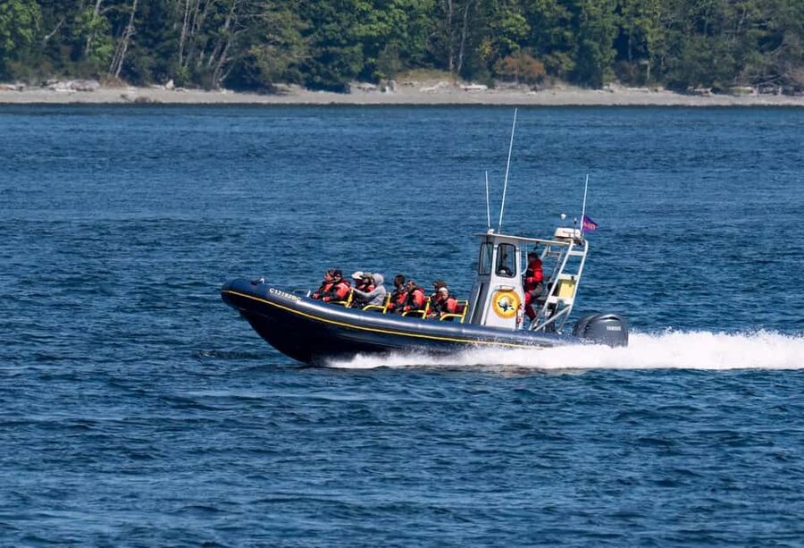 Campbell River: 4 Hour Whale & Wildlife Zodiac Boat Tour - Four hours through the Discovery Passage
