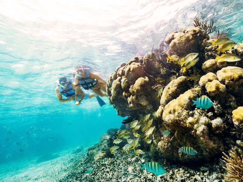 Cancun: 2–Hour Speedboat Experience - Key points to know before booking