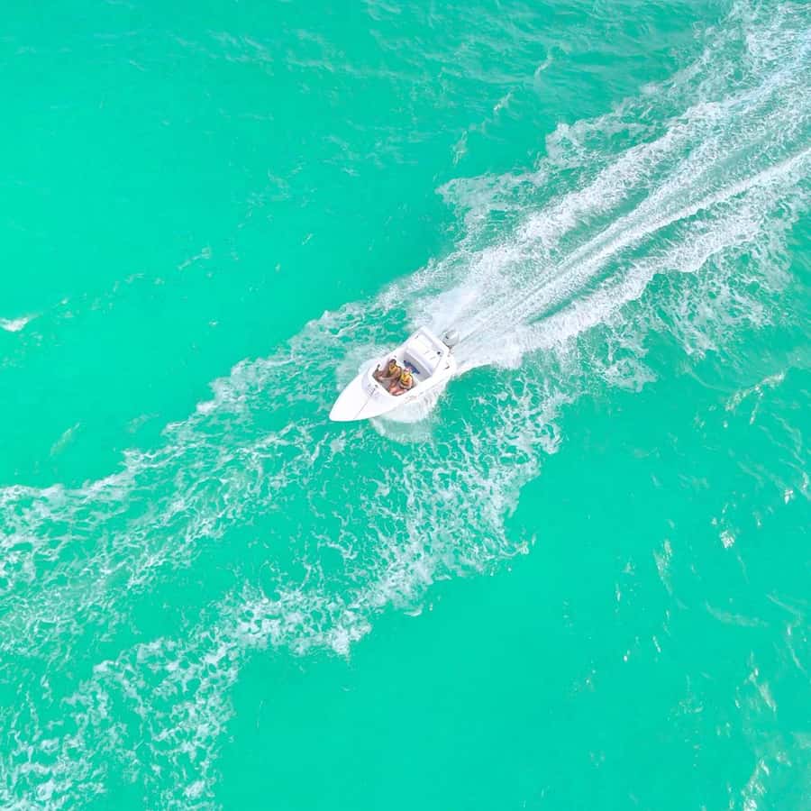 Cancun: Jungle Speedboat and Snorkeling Tour Adventure - Who should book this outing