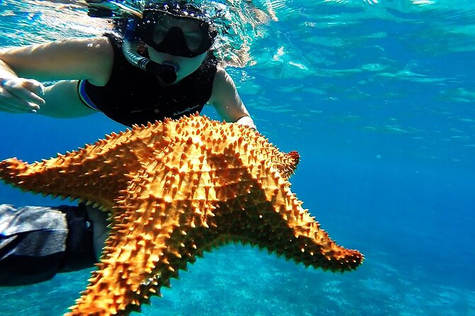 Cancun Jungle Tour with Speedboat and Snorkeling - What the $59 price really buys you