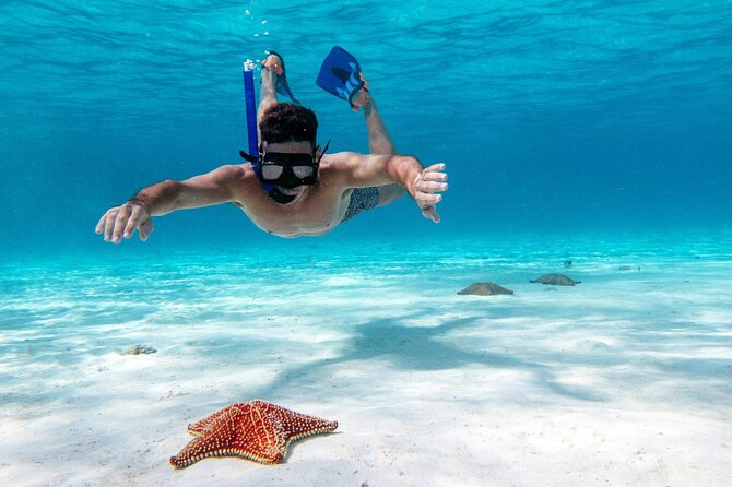 Cancun Jungle Tour with Speedboat and Snorkeling - Transport, timing, and practical planning