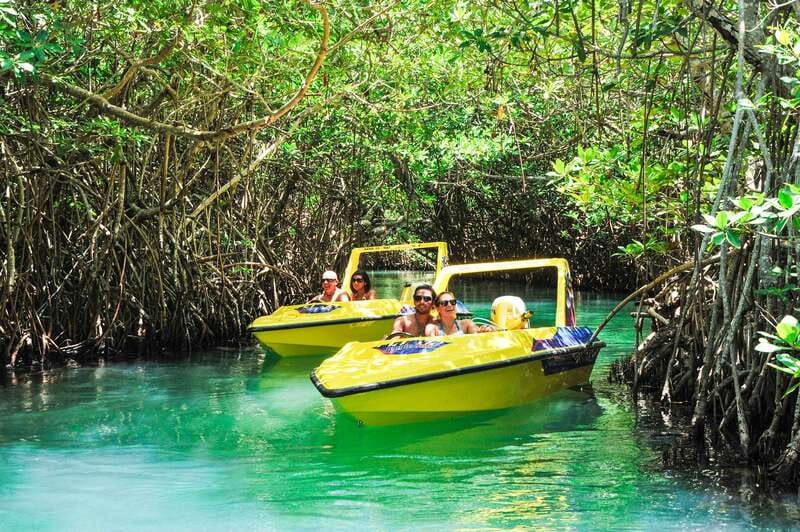 Cancun: Speedboat Mangrove Jungle & Snorkel Tour - From mangroves to Punta Nizuc