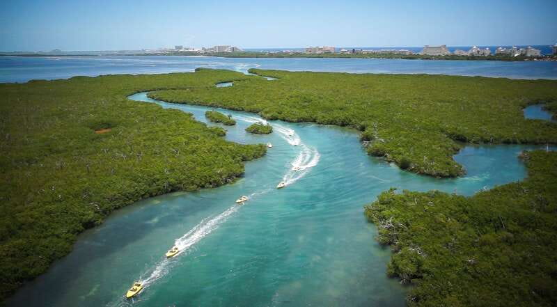 Cancun: Speedboat Mangrove Jungle & Snorkel Tour - Should you book the Cancun speedboat and snorkel tour?