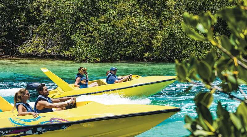 Cancun: Speedboat Mangrove Jungle & Snorkel Tour - Speeding through the mangrove channels