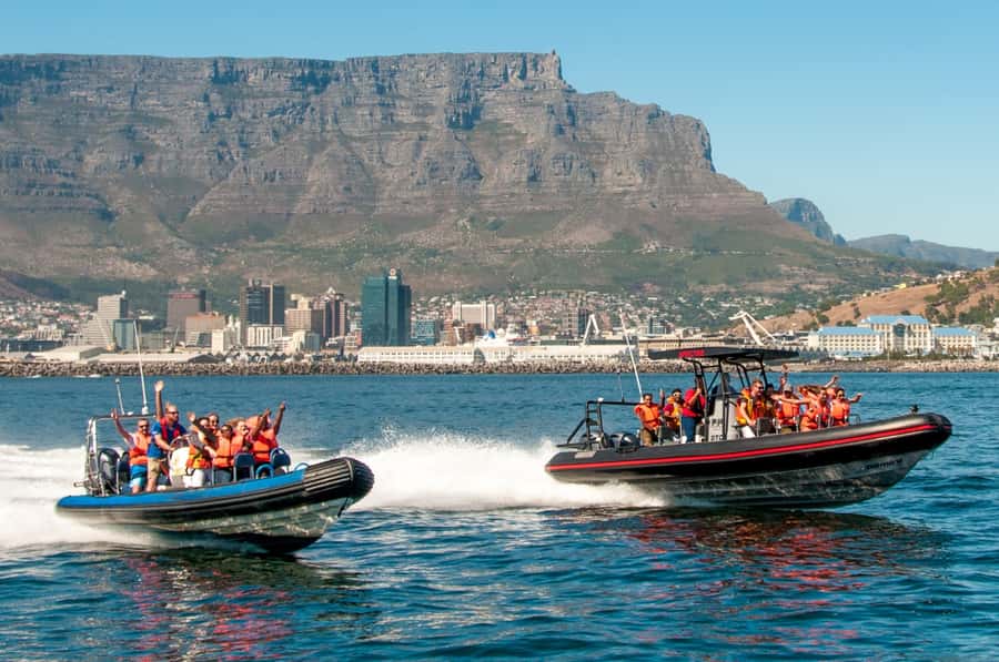 Cape Town Ocean Safari: Speed Boat Adventure in Table Bay - Key points at a glance
