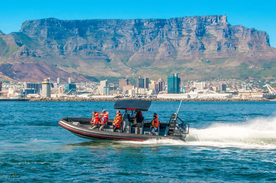 Cape Town Ocean Safari: Speed Boat Adventure in Table Bay - Searching slowly for seals, dolphins, and whales