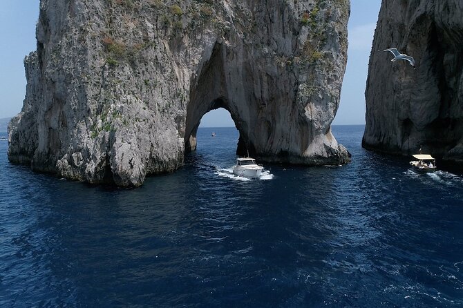 Capri Boat Tour from Sorrento - Speedboat 37ft - Capri by water, with the Faraglioni up close