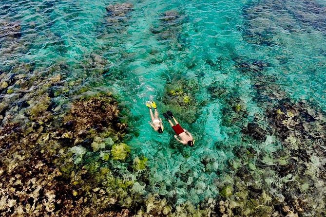 Captain Bob Speed Boat, Snorkeling, Beach Tour & Lunch St Maarten - Key details before you book