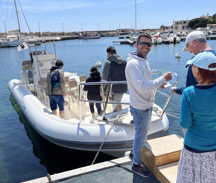 Cargèse: Calanques of Piana Capo Rosso Semi-Rigid Boat Tour - Along Arone Beach with stories from the coast