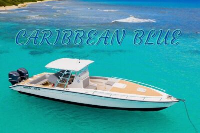 Caribbean Blue Charters – Full Day Boat Charter – 35′ Marlin Power Boat