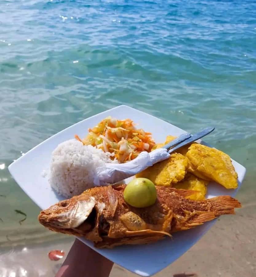 Cartagena: Playa Blanca BARU by speedboat with lunch - What the Playa Blanca Trip Really Offers