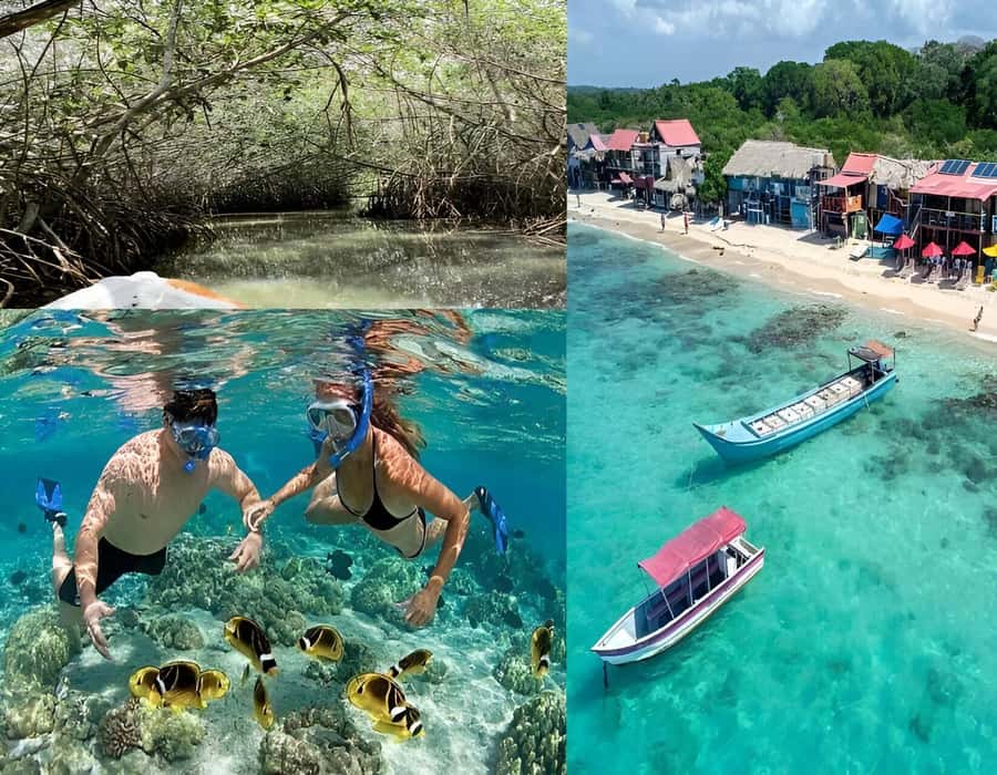 Cartagena: Visit 4 islands in a speedboat + plankton! - Rosario Islands from the water