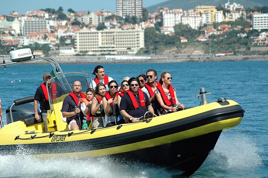 Cascais: Dolphin Watching Speedboat Tour - Who will enjoy this Cascais tour most?