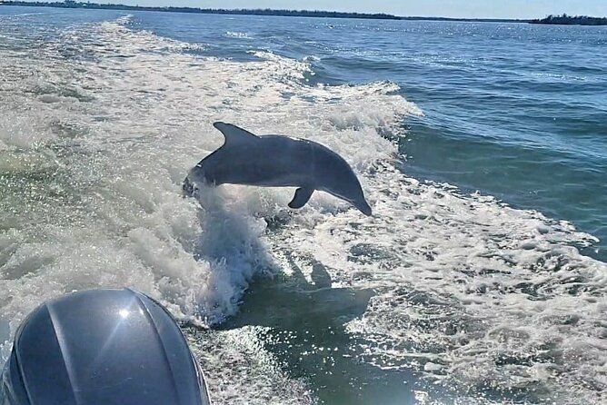 Cayo Costa Private Power Boat Experience - Cabbage Key and its Old Florida character