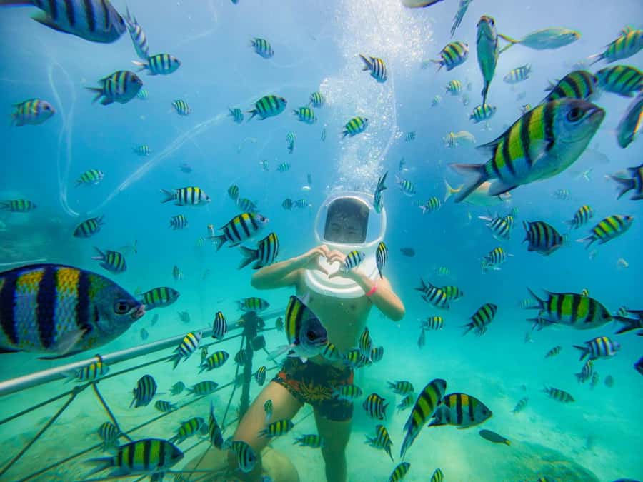 Chalong: Kahung Beach Day Trip by Speedboat & Lunch - What the $59 price really covers