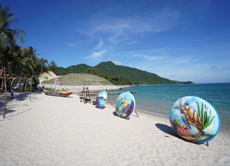 Cham Island: 1-Day Speedboat Trip with Snorkeling and Lunch - What this Cham Island day actually offers