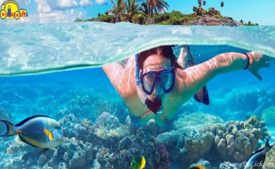 Cham Island: 1-Day Speedboat Trip with Snorkeling and Lunch - One snorkeling stop at Bai Xep or Hon Tai