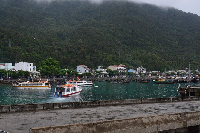 Cham Island Day Tour: Speed Boat, Lunch, Snorkeling & Beach - Who will enjoy this Cham Island day?