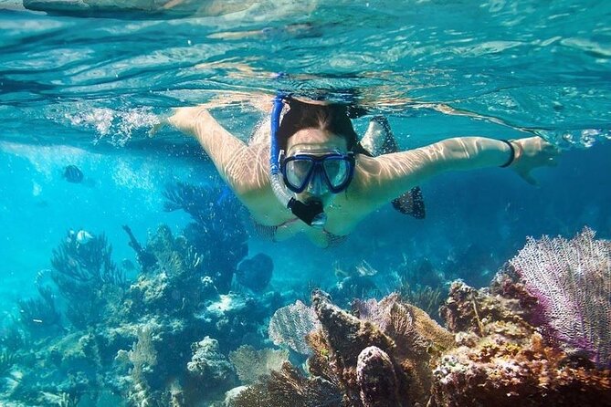 Cham Island Tour Snorkeling -Sunbathing - Nice Beach - Speedboat - Speedboat Travel Across the Water