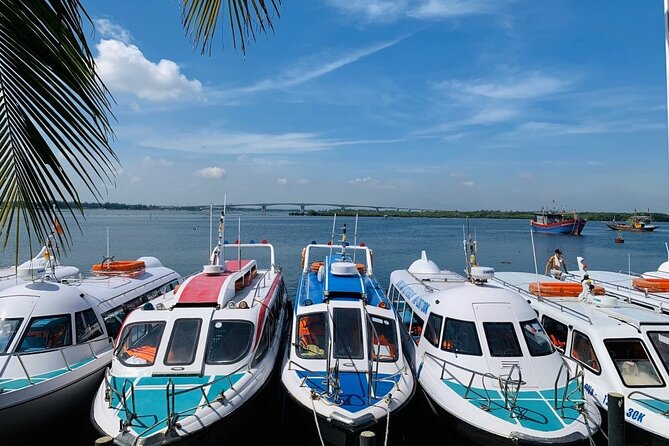 Cham Island Trip by Speed Boat including Snorkeling from Hoi An or Da Nang - Key points to know before booking