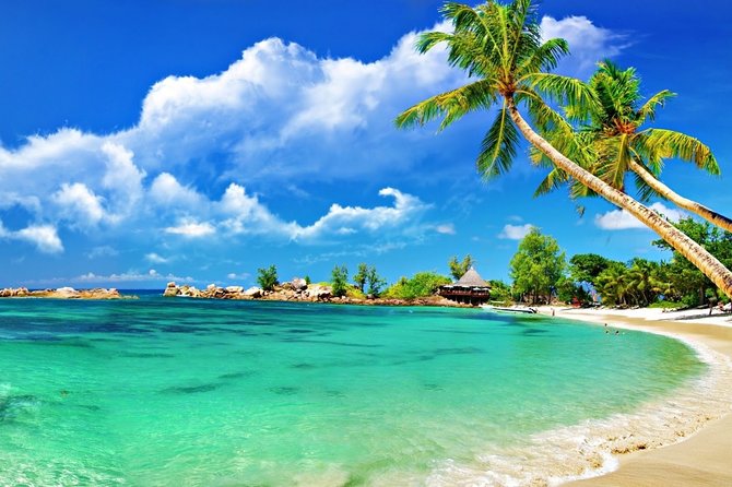 Cham Island Trip by Speed Boat including Snorkeling from Hoi An or Da Nang - Seafood lunch and time by the beach